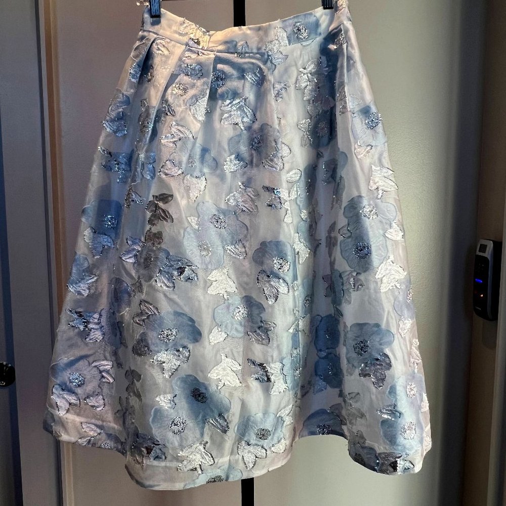 Floral Embroidered Midi Skirt in Light Blue